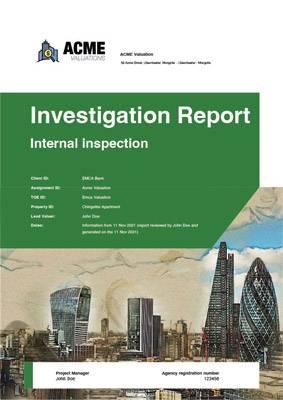 Investigation Report sample