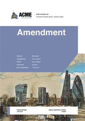 Amendments sample report