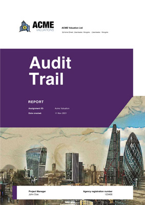 Audit Trail sample report